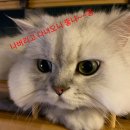 묵현로25번길37 이미지