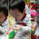 내포왕족발보쌈 네이버블로그