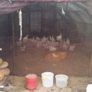 윤씨네농장 이미지