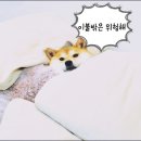 옷이랑이불 - 여수시 신월로 765 | 옷이랑이불