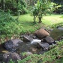 아침요가 이미지