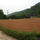 천해농장 이미지