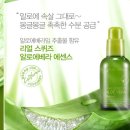 로맨틱네이쳐