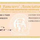 범과같이 이미지