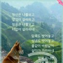 복 이미지