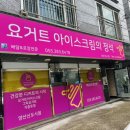 요거트아이스크림의정석 양산신도시점 이미지