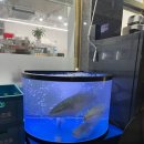 그회우리는 이미지