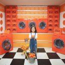 반딧불 동물병원 | 제주도 가볼만한곳 애월 제주홀릭뮤지엄 제주 여행 후기