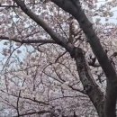 서호동 새마을금고 앞 이미지