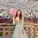 화담당 경화탑 | 진해 군항제 벚꽃 현황 실시간 여좌천 경화역 제황산공원 내수면환경생태공원 (4/4)