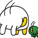 더바른몸 이미지