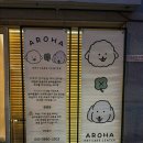 나노네 반려동물 미용 | 김해 애견미용 무는강아지 미용 전문 아로하반려동물케어센터 후기