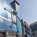 용인대 여명태권도장 이미지