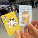 예산군 버스투어 | Day1. 예스폭진지 버스투어 &amp;라오허제 야시장