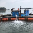 대왕수산 이미지