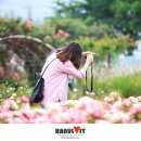 장미공원 이미지