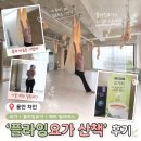 메이트플라잉요가 | 용인 양지 플라잉요가산책에서 차분하게 힐링하고 온 플라잉요가 체험 후기
