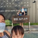 봉평올챙이
