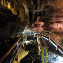 천곡황금박쥐동굴 이미지