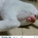 화남농장 이미지