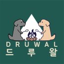 (주)에코빌 | 원주시 애견카페 인기 봄에 가기 좋은 10곳 TOP 10 비교