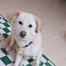 우당탕 랜드 이미지