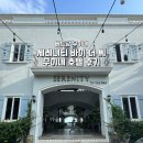 더 씨(THE SEA) | Serenity by the sea 베트남 무이네 호텔 위치 가격 후기