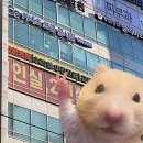 부산 관리형 독서실 커넥츠프랩 공시관 대연점 내돈내다 후기
