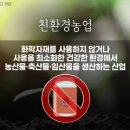 10.친환경농산물과 인증제도 이미지