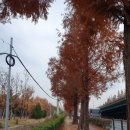 울산 현대자동차 촉탁계약직 솔직후기 (8) - 갑작스런 부서이동...ㅠㅠ