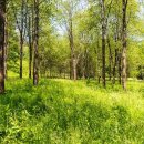 도량초등 병설 이미지