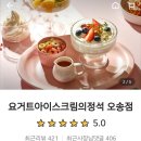 요거트아이스크림의정석오송점