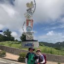 말티고개 신동삼거리2(우측) | 서해랑길 진도 9코스(역방향)- 서망항에서 남도진성경유 귀성삼거리까지