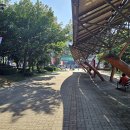 인천문학경기장 | 불꽃야구 직관 후기 -인천 문학경기장 서울고교 편(2025.8.10)
