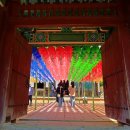 불국사 여행(부처님 오신날 여행) 이미지