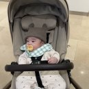 청구세탁 | [내돈내산] 아이자리 유모차 세탁 업체 오이스터 3 세탁 비용 후기