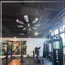 운동생활 야탑점 이미지