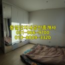 흥도초등학교(병설) 이미지