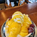 산지커피하우스 | 논산 산지커피하우스 망고빙수후기(내돈내산맛집인증)