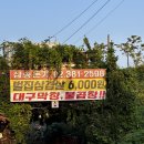 삼송역 맛집 삼송돈가 가성비 삼겹살에 순두부찌개 소주 한 잔 완벽해