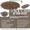 Chia seed 치아씨의 효능과 역사 이미지