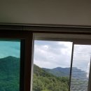 수목원서한이다음 이미지