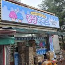 아이스꽁냥