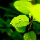 제주 올레길 3코스 A 이미지