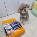 밥이보약 이미지