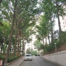 용산청소년센터 4층 꿈이룸극장 이미지