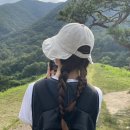 사부작채집가 이미지