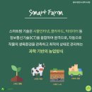 팜 마트 이미지