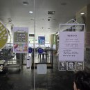 11500-6-46-11 | 리프패럿 파주점 운정앵무새카페 아이와 가기 좋은 힐링체험 후기