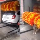 본세차장 이미지